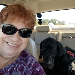 Meet your Posher, Patty